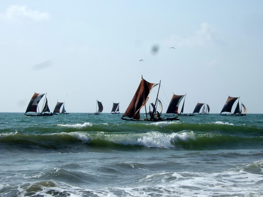 Ocean View Tourist Guest House At Negombo Beach Near The Airport Luaran gambar